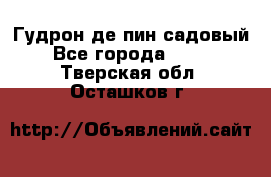 Гудрон де пин садовый - Все города  »    . Тверская обл.,Осташков г.